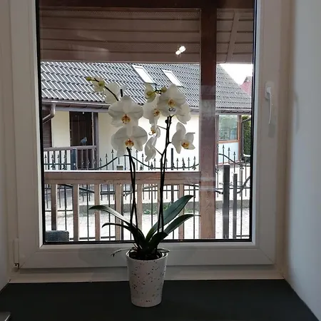 Na Pokladzie Holiday home Pogorzelica (Gmina Rewal)