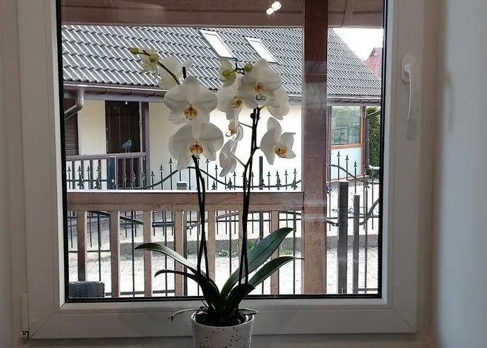 Na Pokladzie Casa de Férias Pogorzelica (Gmina Rewal)