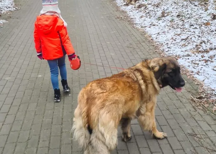 Na Pokladzie Casa de Férias