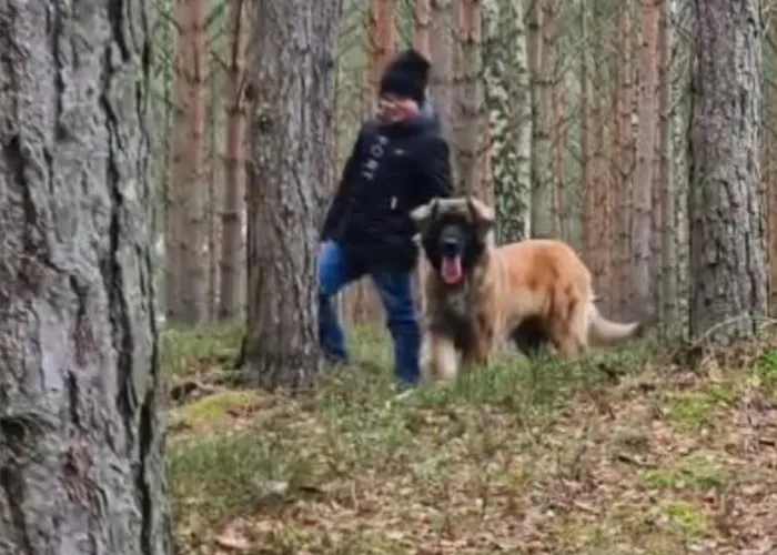 Na Pokladzie Casa de Férias