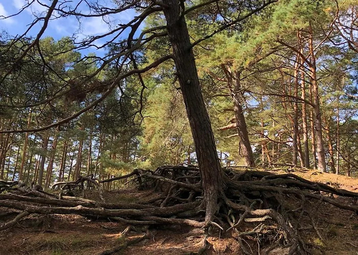 Casa de Férias Na Pokladzie